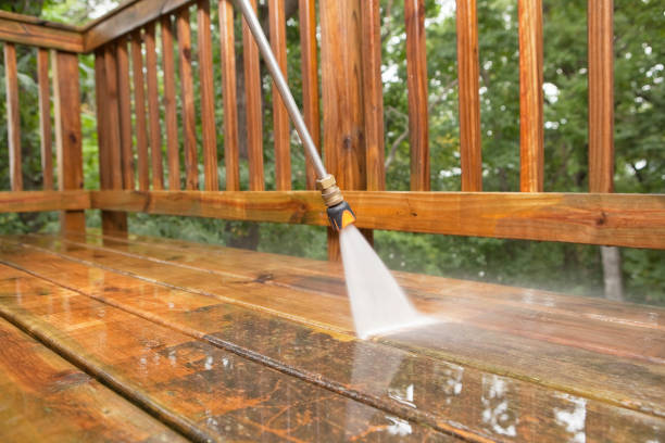Best Roof Cleaning and Mildew Removal in Scanlon, MN